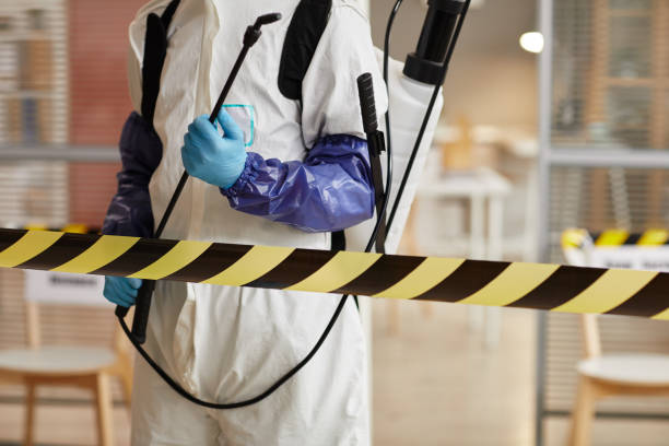 Professional Sewage Cleanup technician working in Providence, KY